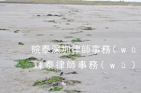 皖泰深圳律師事務(wù)所是真的嗎(安徽輝泰律師事務(wù)所)