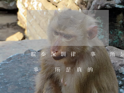 皖泰深圳律師事務所是真的嗎(皖鈦深圳律師事務所是真的嗎)