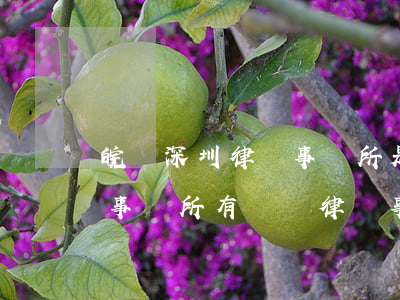 皖鈦深圳律師事務所是真的嗎(皖鈦(深圳)律師事務所有這個律師事務所嗎)
