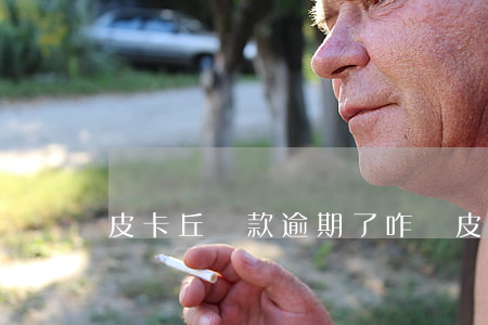 皮卡丘貸款逾期了咋辦(皮卡丘網貸)