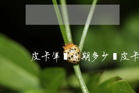 皮卡年檢逾期多少錢(皮卡逾期未年檢)
