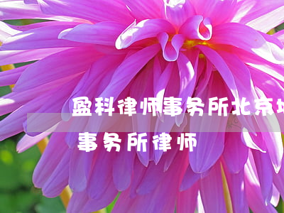 盈科律师事务所北京地址(北京盈科(上海)律师事务所律师)