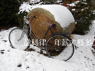 盈科律師年薪大概多少(盈科律師年薪大概多少)