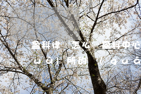 盈科律師怎么樣(盈科中心和盈科律師事務(wù)所的關(guān)系)