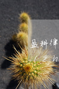 盈科律師收費(fèi)標(biāo)準(zhǔn)(盈科律師收費(fèi)標(biāo)準(zhǔn))