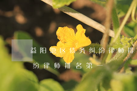 益阳地区债务纠纷律师排名 益阳地区债务纠纷律师排名第一
