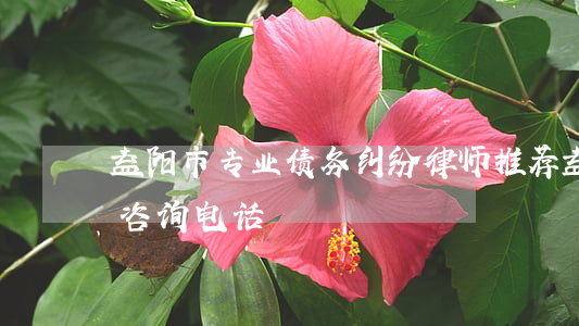 益阳市专业债务纠纷律师推荐(益阳律师免费咨询电话)