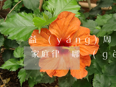 益陽(yáng)周邊請(qǐng)婚姻家庭律師哪個(gè)好(益陽(yáng)有名的律師或律師事務(wù)所)