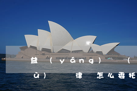 益陽(yáng)專業(yè)的債務(wù)糾紛律師怎么委托-債務(wù)糾紛委托律師多少錢