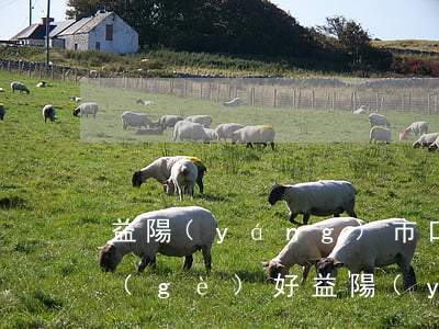 益陽(yáng)市口碑好的婚姻律師哪個(gè)好(益陽(yáng)市十佳律師)