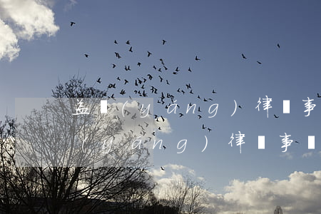 益陽(yáng)律師事務(wù)所(益陽(yáng)律師事務(wù)所晏新宇)