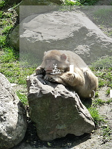 益陽(yáng)律師咨詢免費(fèi)24小時(shí)在線（益陽(yáng)專業(yè)債權(quán)債務(wù)律師收費(fèi)標(biāo)準(zhǔn)）