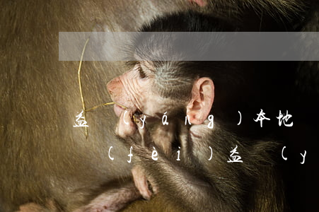 益陽(yáng)本地債務(wù)律師收費(fèi)(益陽(yáng)律師費(fèi)用收取標(biāo)準(zhǔn))