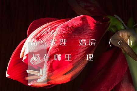益陽代理離婚房產(chǎn)律師(益陽離婚在哪里辦理)