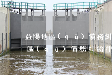 益陽地區(qū)債務糾紛律師排名 益陽地區(qū)債務糾紛律師排名第一