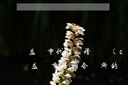 益陽市代理離婚財產(chǎn)糾紛律師(益陽市婚姻介紹所的電話)