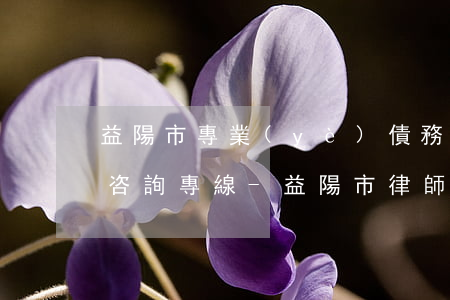 益陽市專業(yè)債務(wù)糾紛律師咨詢專線-益陽市律師免費咨詢機構(gòu)