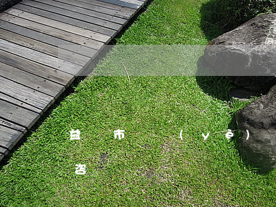 益陽市專業(yè)債務(wù)糾紛律師咨詢電話