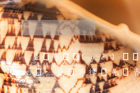 益陽市專業(yè)辦債務(wù)糾紛律師-益陽市律師免費咨詢機(jī)構(gòu)