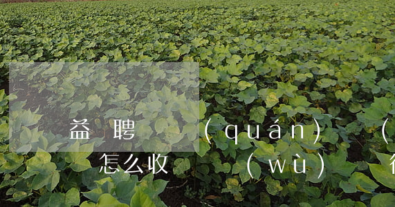 益陽聘請債權(quán)債務(wù)律師怎么收費(債務(wù)糾紛律師咨詢免費)