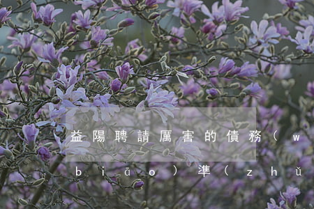 益陽聘請厲害的債務(wù)律師收費標(biāo)準(zhǔn)-益陽聘請厲害的債務(wù)律師收費標(biāo)準(zhǔn)是多少