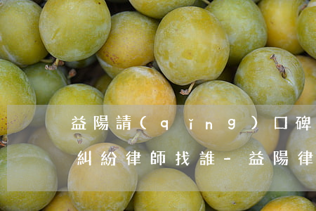 益陽請(qǐng)口碑好的債務(wù)糾紛律師找誰-益陽律師免費(fèi)咨詢電話