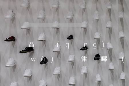 益陽請(qǐng)專業(yè)辦債務(wù)糾紛律師哪個(gè)好-益陽市律師免費(fèi)咨詢機(jī)構(gòu)