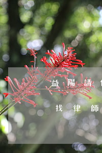 益陽請債務(wù)律師找誰(債務(wù)找律師收費(fèi)標(biāo)準(zhǔn))