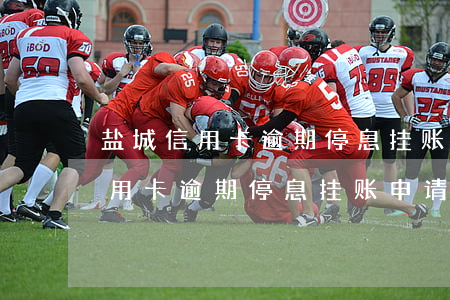 盐城信用卡逾期停息挂账申请条件-盐城信用卡逾期停息挂账申请条件是什么