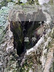 监外刑没有满又偷钱怎么判?(判完刑可以监外执行吗)