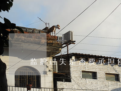 监护过失是否要承担侵权责任