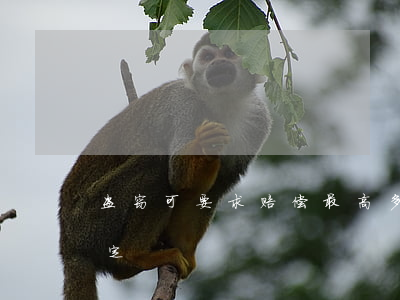盗窃可要求赔偿最高多少(盗窃罪民事赔偿规定)