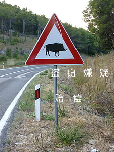 盗窃嫌疑人盗如何赔偿,抓到盗窃嫌疑人怎么赔偿 盗窃嫌疑人盗如何赔偿,抓到盗窃嫌疑人怎么赔偿
