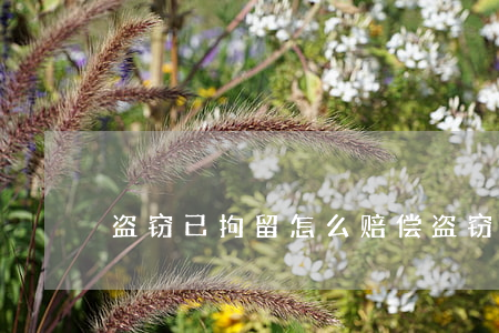 盗窃已拘留怎么赔偿(盗窃拘留后还会判刑吗)