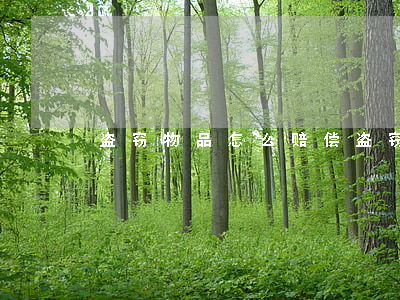 盗窃物品怎么赔偿(盗窃私人物品怎么判刑)