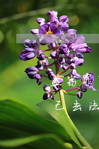 盗窃罪可以自己去法院立案吗(盗窃罪可以自己去法院立案吗)