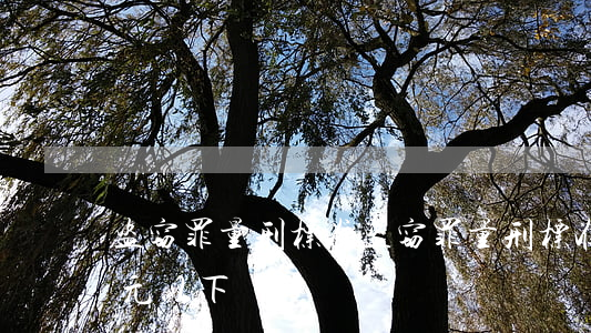 盗窃罪量刑标准(盗窃罪量刑标准金额500元以下)