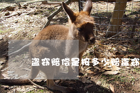 盗窃赔偿是按多少赔(盗窃罪民事赔偿规定)