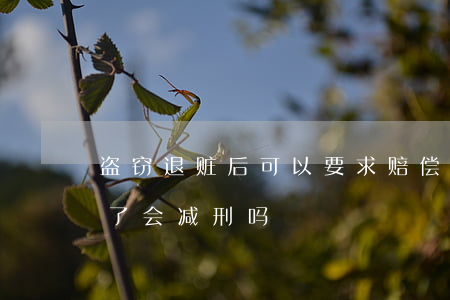 盗窃退赃后可以要求赔偿损失吗(盗窃罪退赃了会减刑吗)