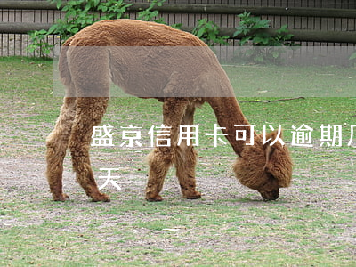 盛京信用卡可以逾期几天(盛京信用卡逾期3天)