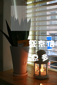 盛京信用卡逾期一天(盛京信用卡逾期一天利息多錢(qián))