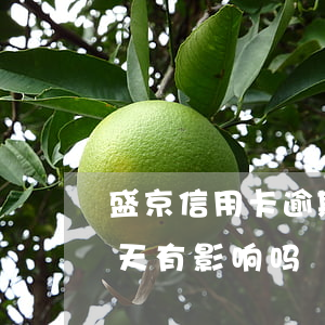 盛京信用卡逾期怎么协商(盛京信用卡逾期一天有影响吗)