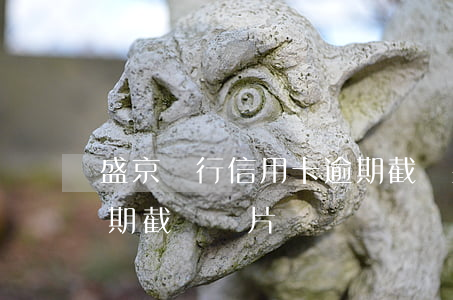 盛京銀行信用卡逾期截圖(盛京銀行信用卡逾期截圖圖片)