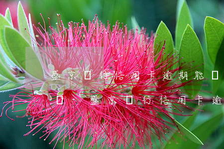 盛京銀行信用卡逾期能協(xié)商嗎電話-盛京銀行信用卡逾期能協(xié)商嗎電話號(hào)碼