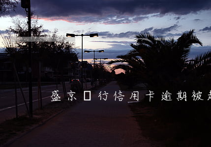盛京銀行信用卡逾期被起訴