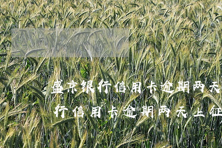 盛京银行信用卡逾期两天上征信吗-盛京银行信用卡逾期两天上征信吗有影响吗