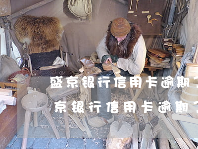盛京银行信用卡逾期了还能正常使用么-盛京银行信用卡逾期了还能正常使用么吗