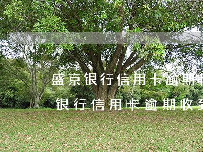 盛京银行信用卡逾期收到律师函怎么办（盛京银行信用卡逾期收到律师函）