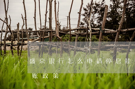 盛京银行怎么申请停息挂账(北京银行停息挂账政策)