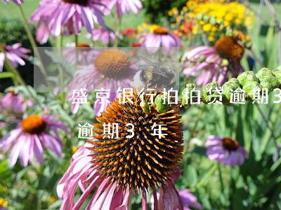 盛京银行拍拍贷逾期3年-盛京银行拍拍贷逾期3年